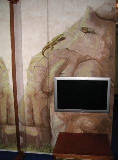 Hotel Drachen Bázel Kültér fotó